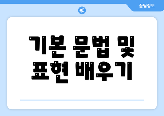 기본 문법 및 표현 배우기