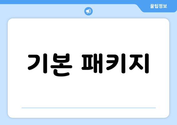 기본 패키지