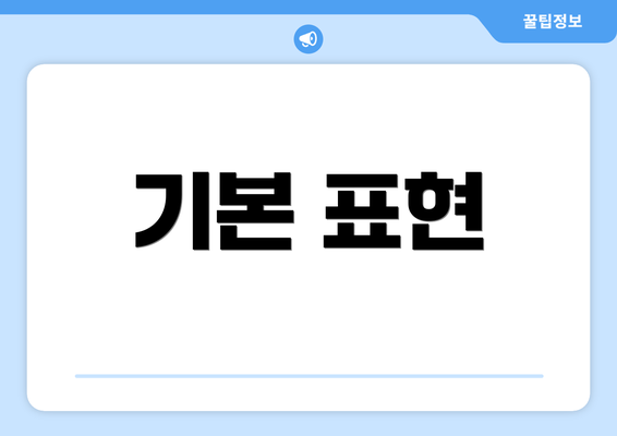 기본 표현