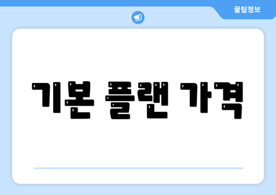 기본 플랜 가격