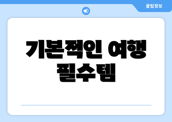 기본적인 여행 필수템