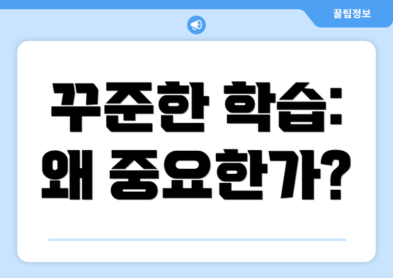 꾸준한 학습: 왜 중요한가?