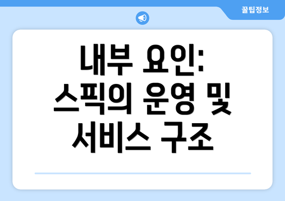 내부 요인: 스픽의 운영 및 서비스 구조