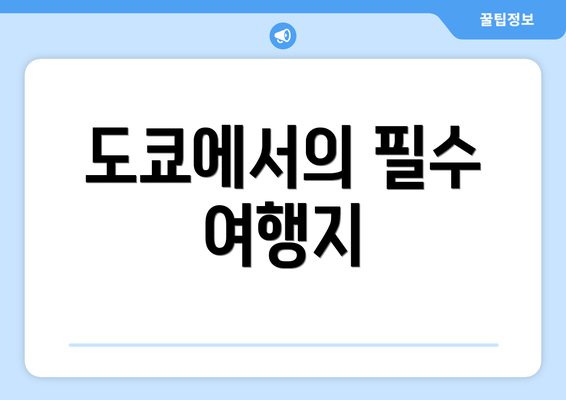 도쿄에서의 필수 여행지