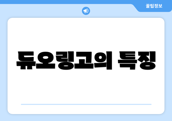 듀오링고의 특징
