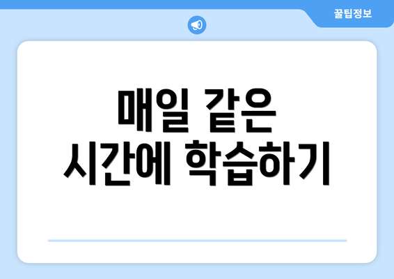 매일 같은 시간에 학습하기