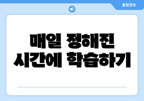 매일 정해진 시간에 학습하기
