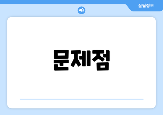 문제점