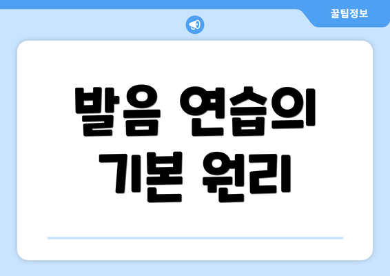 발음 연습의 기본 원리