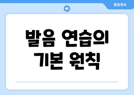 발음 연습의 기본 원칙