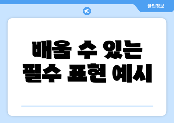 배울 수 있는 필수 표현 예시