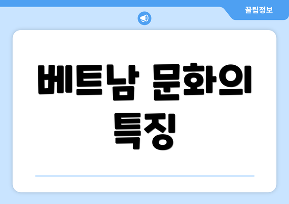 베트남 문화의 특징