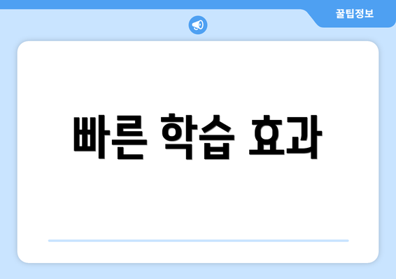 빠른 학습 효과