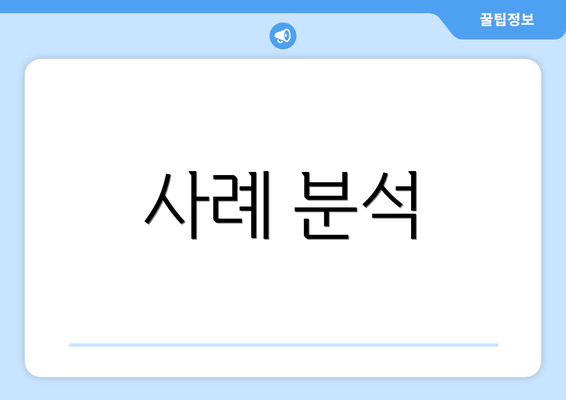 사례 분석