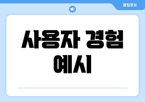 사용자 경험 예시