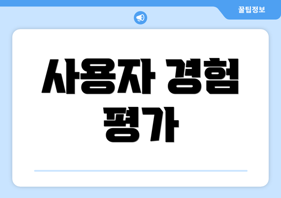 사용자 경험 평가
