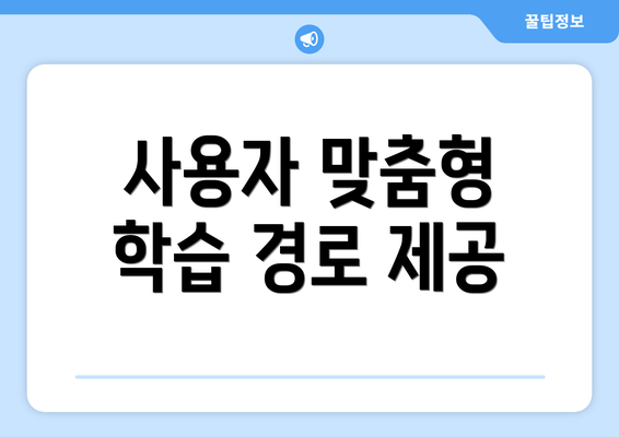사용자 맞춤형 학습 경로 제공
