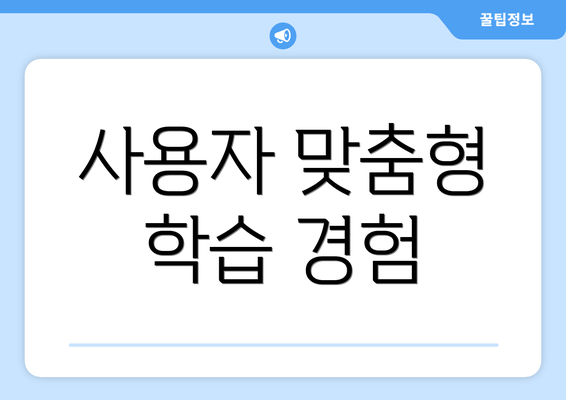 사용자 맞춤형 학습 경험