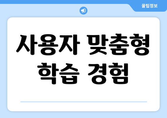 사용자 맞춤형 학습 경험