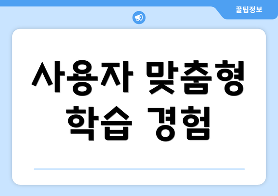 사용자 맞춤형 학습 경험