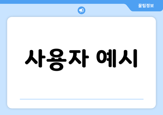 사용자 예시