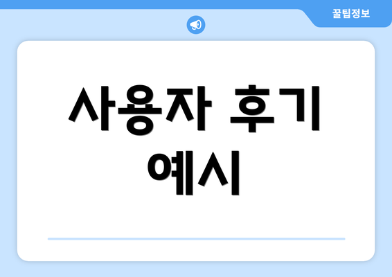 사용자 후기 예시