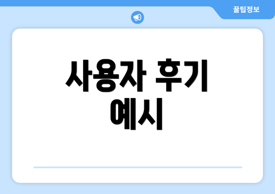 사용자 후기 예시