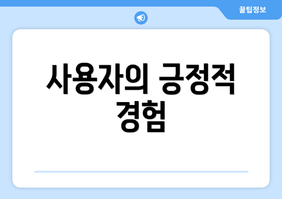 사용자의 긍정적 경험