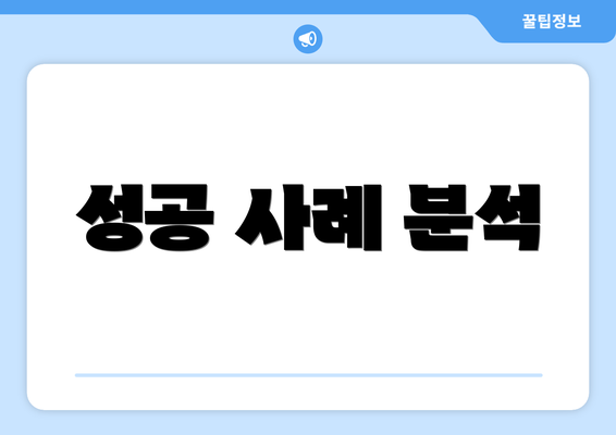 성공 사례 분석