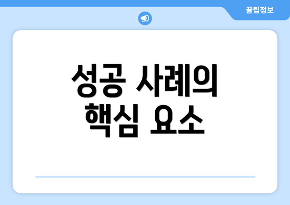 성공 사례의 핵심 요소