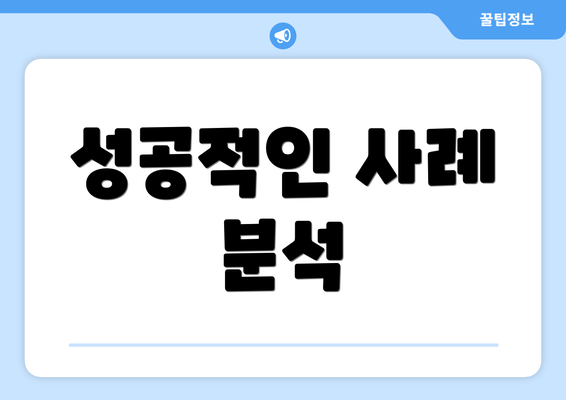 성공적인 사례 분석