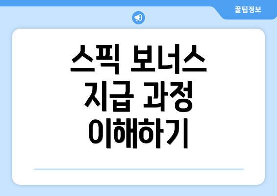 스픽 보너스 지급 과정 이해하기