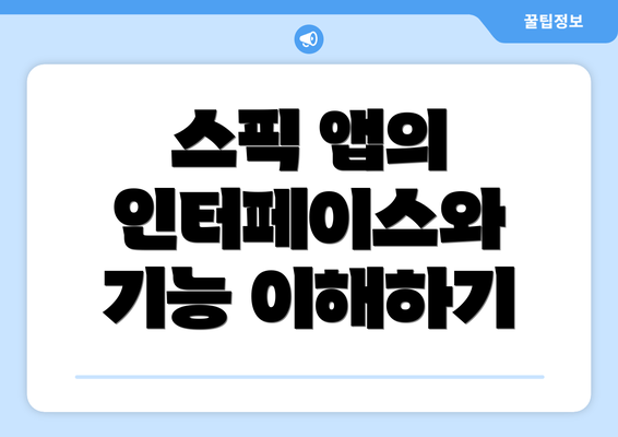 스픽 앱의 인터페이스와 기능 이해하기