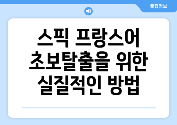 스픽 프랑스어 초보탈출을 위한 실질적인 방법