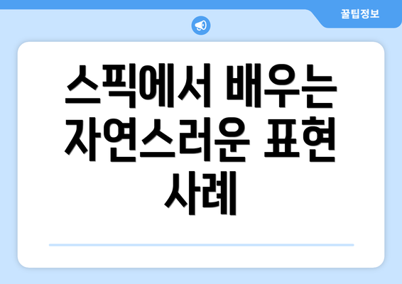 스픽에서 배우는 자연스러운 표현 사례
