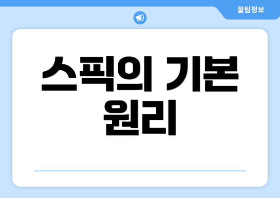 스픽의 기본 원리