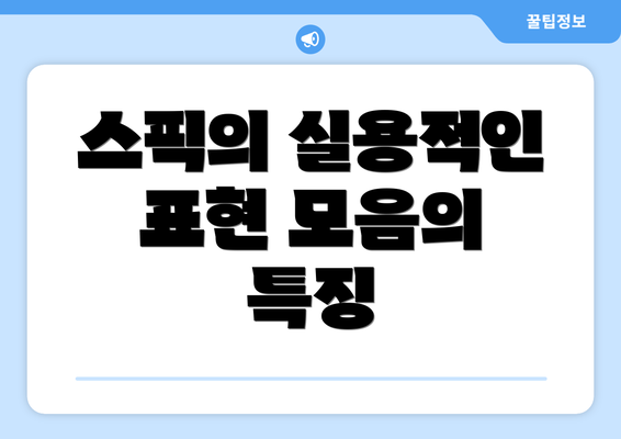 스픽의 실용적인 표현 모음의 특징