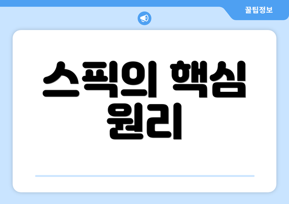 스픽의 핵심 원리