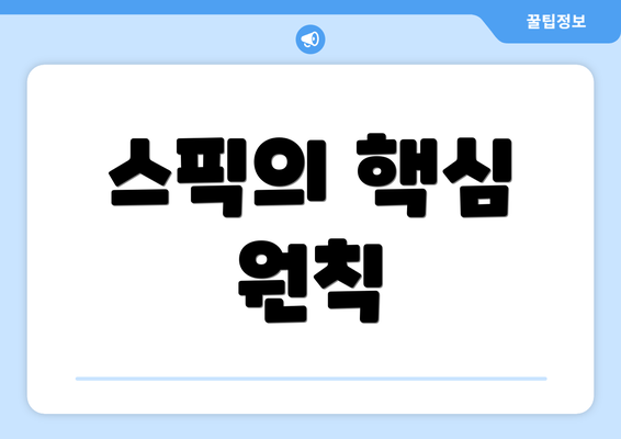 스픽의 핵심 원칙