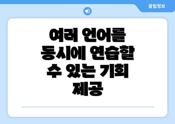 여러 언어를 동시에 연습할 수 있는 기회 제공