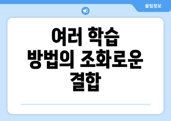 여러 학습 방법의 조화로운 결합
