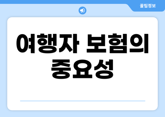 여행자 보험의 중요성