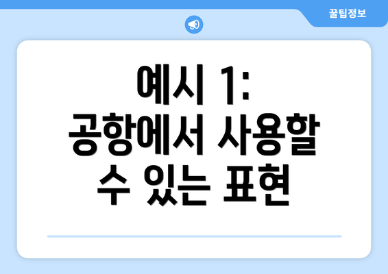 예시 1: 공항에서 사용할 수 있는 표현