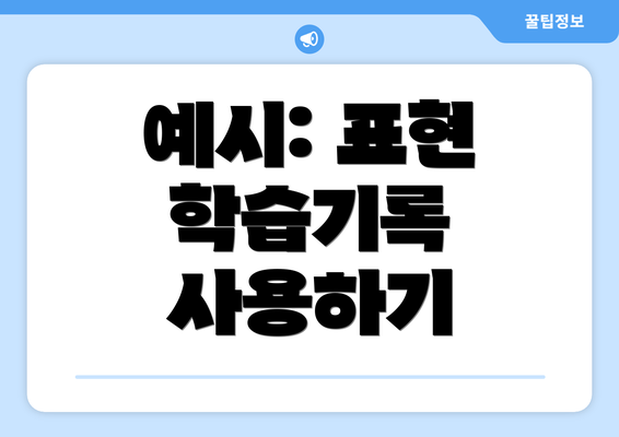 예시: 표현 학습기록 사용하기