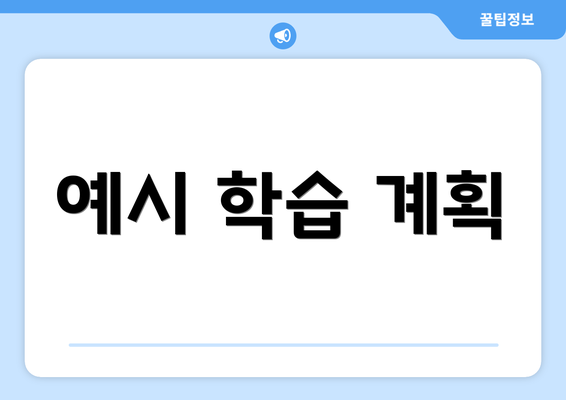 예시 학습 계획