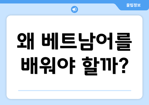 왜 베트남어를 배워야 할까?