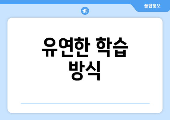 유연한 학습 방식