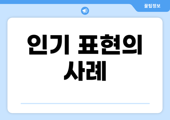 인기 표현의 사례