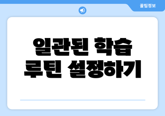 일관된 학습 루틴 설정하기