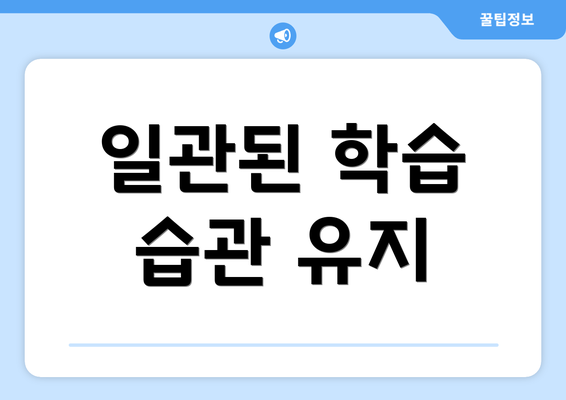 일관된 학습 습관 유지